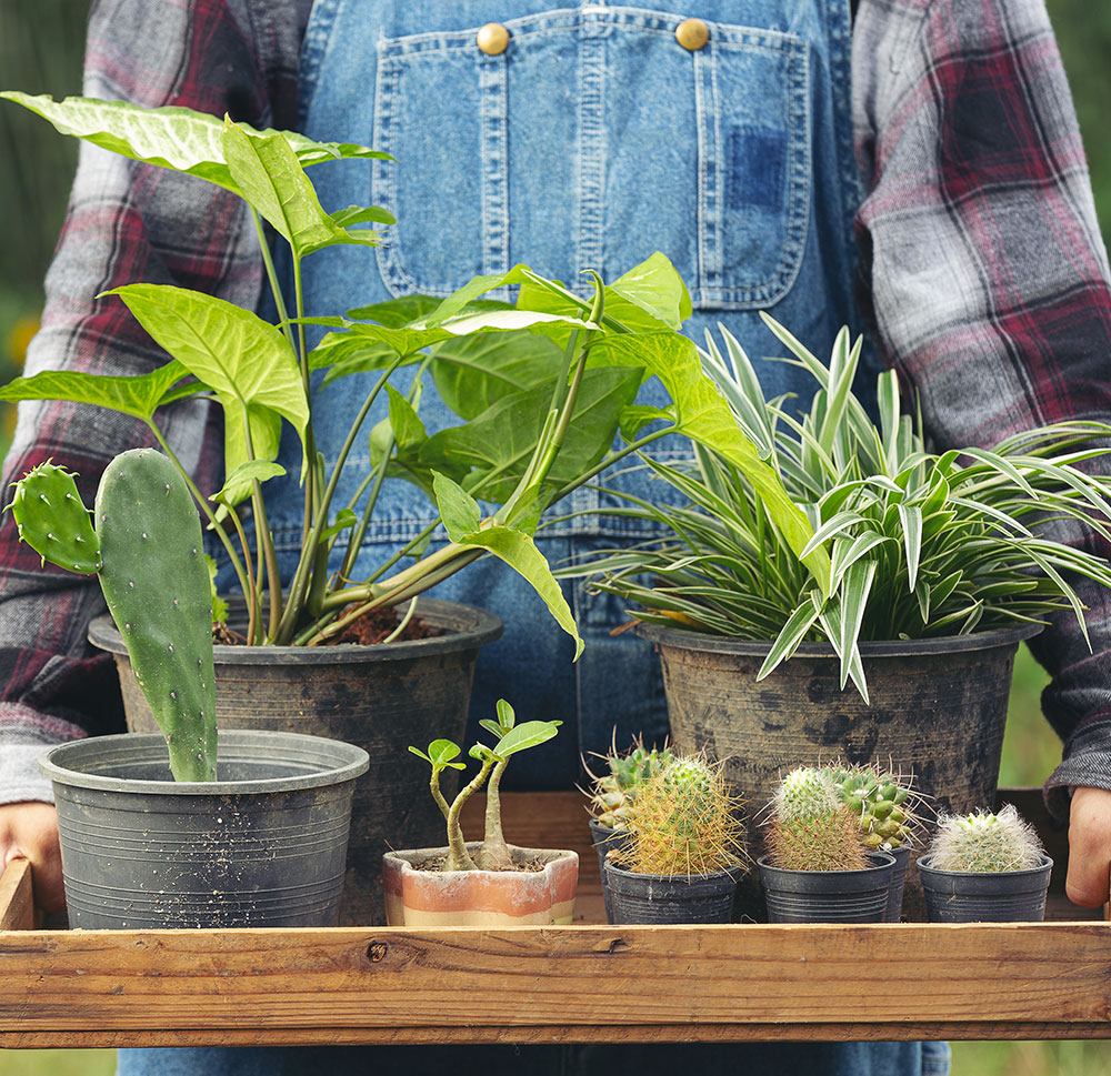 MANUTENZIONE E RIVALUTAZIONE DELL'AMBIENTE