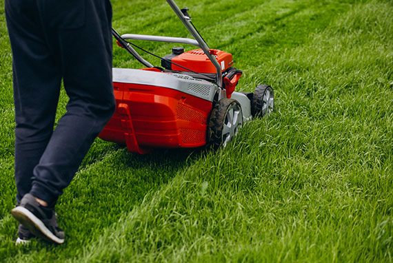 Impresa Giardinaggio e manutenzione del verde